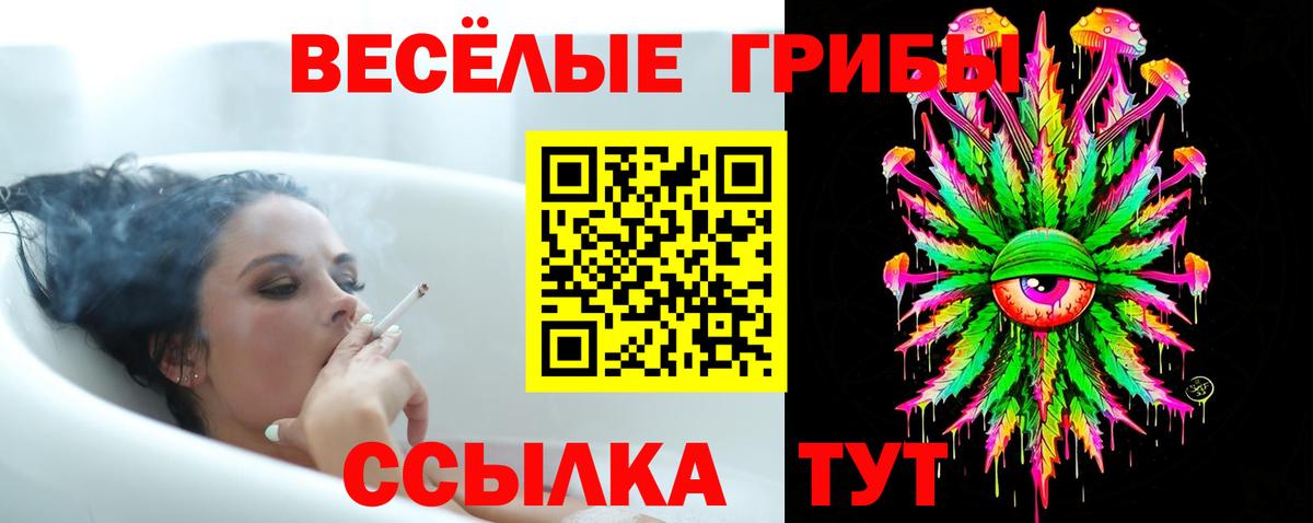 Галлюциногенные грибы Magic Shrooms Дубна